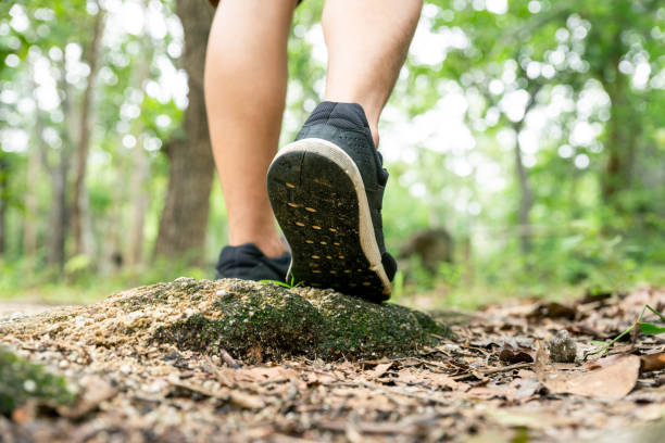 istock Traveler hike through forest to peak of mountain. 1286659583