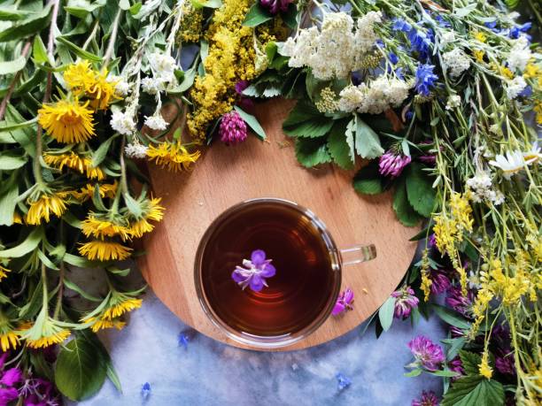 istock forest herbs on a gray table and delicious herbal tea on a wooden stand 1286659660