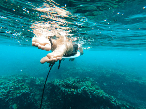 istock Underwater shot of surfer paddling 1286660967