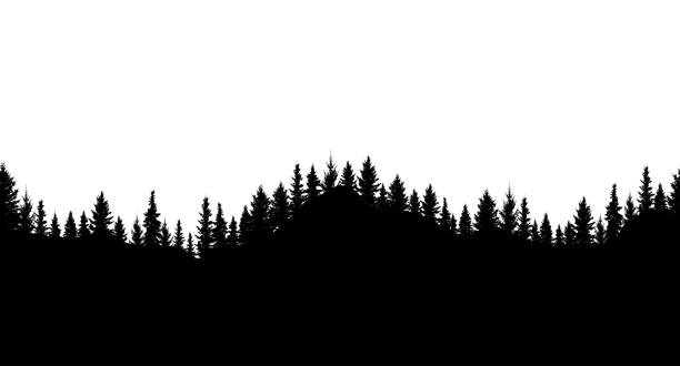 istock Silhouette of forest. Seamless forest on hills. Beautiful trees are separated from each other. Vector illustration. 1286661057