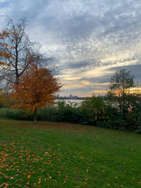 istock Stunning view of autumn park landscape 1286665757