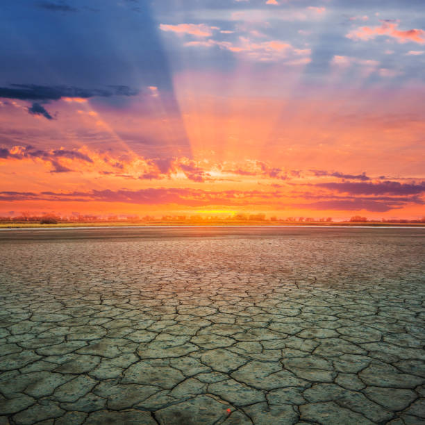 istock dry cracked land at the sunset 1286669425