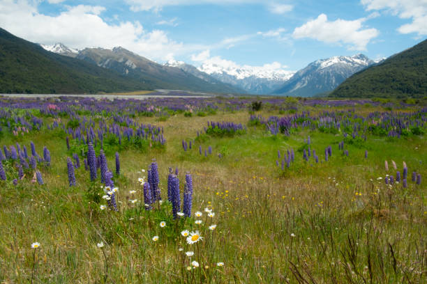 istock Arthur's Pass National Park, New Zealand 1286671145