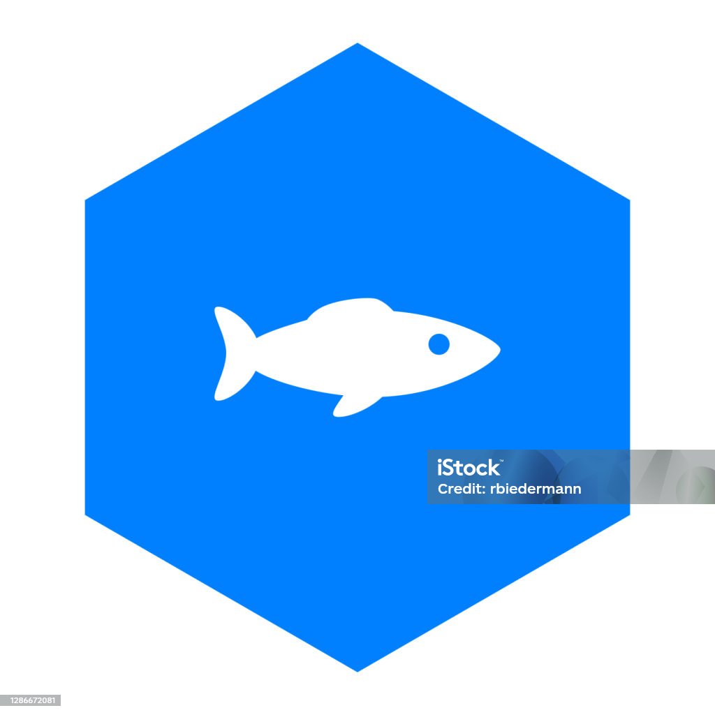 Comb Fish Image Fish And Comb Stock Illustration - Download Image Now - Animal, Aquatic ...