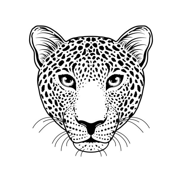 Leopard Face Tattoo Illustrations, Royalty-Free Vector Graphics & Clip Art  - iStock