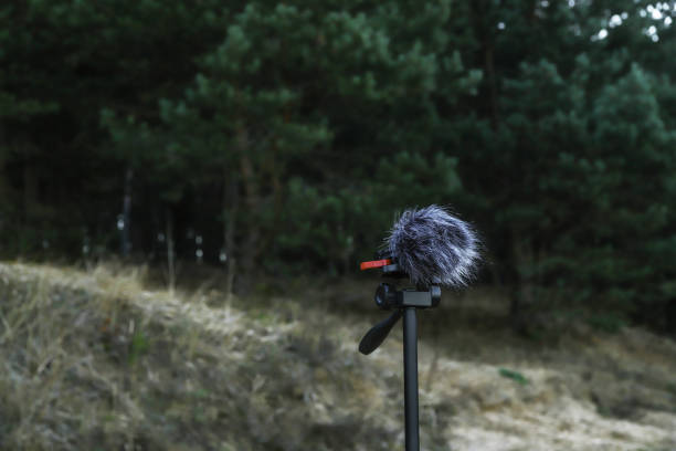 ポータブルレコーダーは森の三脚に立っています - soundscape ストックフォトと画像