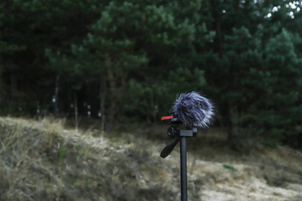 istock Portable recorder stands on a tripod in the forest 1286678453