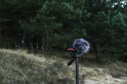 Portable recorder stands on a tripod in the forest. Recording sounds of nature