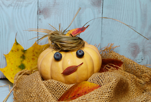 Cheerful pumpkin in a hat among autumn leaves, humorous composition with a place for an inscription for a holiday card, poster, cover for Thanksgiving and other autumn holidays.