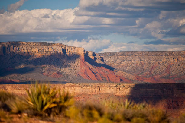 istock Views of the Mojave desert and Grand Canyon 1286679251