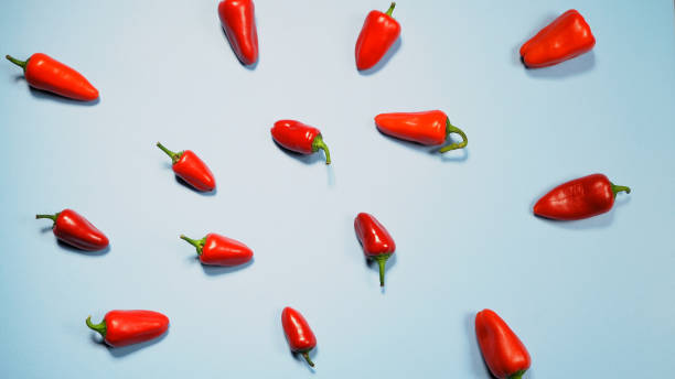 chillies or peppers and capsicums or bell peppers. sweet bell, paprika, cayenne, chilli, hungarian wax pepper, isolated on light blue background - mexico chili pepper bell pepper pepper imagens e fotografias de stock