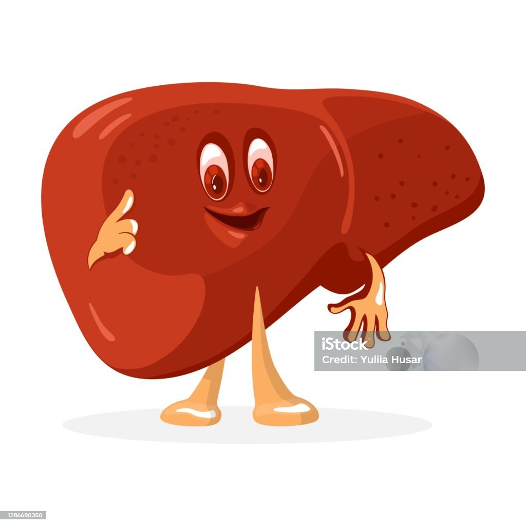 Cartoon Happy Human Liver Stock Illustration - Download Image Now - Liver -  Organ, Cartoon, Happiness - iStock