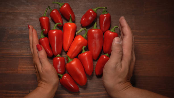 male and female hand holding forming shape of chillies or peppers and capsicums or bell peppers. sweet bell, paprika, cayenne, chilli, hungarian wax pepper, isolated on wooden table background - mexico chili pepper bell pepper pepper imagens e fotografias de stock