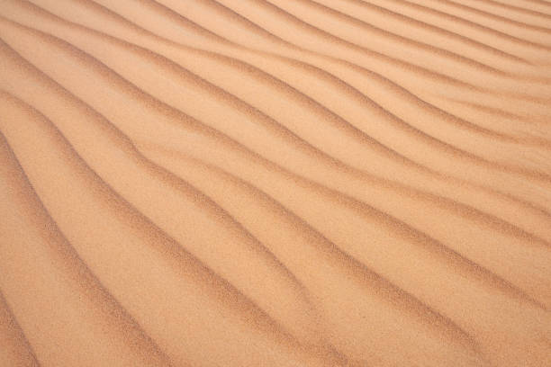istock Golden  desert sand texture as background 1286681356