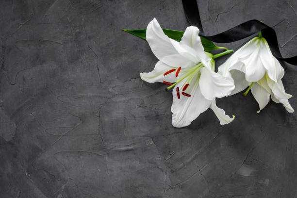 istock Lily funeral flower on dark stone. Condolence card with copy space 1286684040