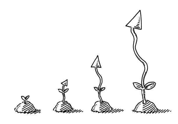 Time Lapse Arrow Plant Growth Drawing Hand-drawn vector drawing of a Time Lapse of an Arrow Plant, Business Growth Concept. Black-and-White sketch on a transparent background (.eps-file). Included files are EPS (v10) and Hi-Res JPG. soil sample stock illustrations