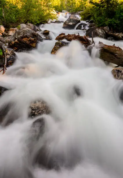 Photo of Taggart Creek Tumbles Over Rocks