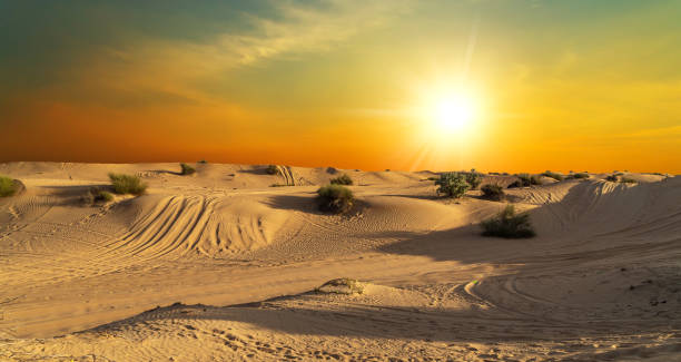 istock desert safari tire prints in sand. 1286692916