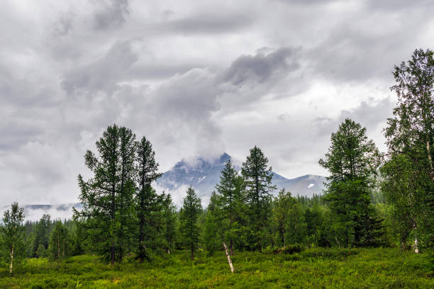 istock Clouded Mount Manaraga in the Subpolar Urals on a rainy day 1286694855