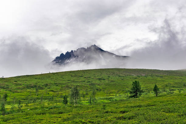 istock Clouded Mount Manaraga in the Subpolar Urals on a rainy day 1286694863
