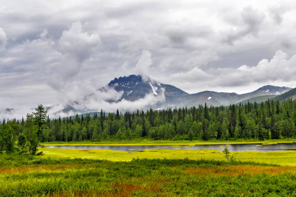istock Clouded Mount Manaraga in the Subpolar Urals on a rainy day 1286695390