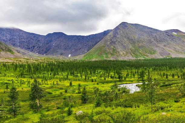 istock Landscape with a mountains in the Subpolar Urals on a summer day 1286695455