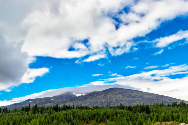 istock Landscape with a mountains in the Subpolar Urals on a summer day 1286695515