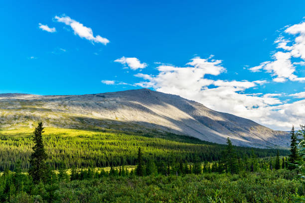 istock Landscape with a mountains in the Subpolar Urals on a summer day 1286695522
