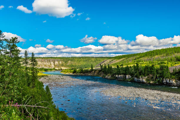 istock A clear northern river in the forest area 1286695615