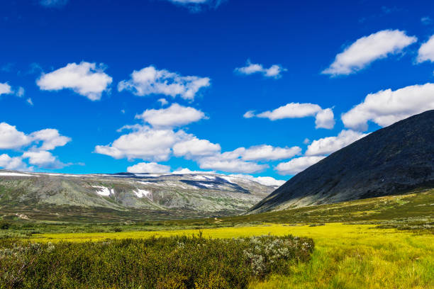 istock mountains in the Subpolar Urals on a summer day 1286695723