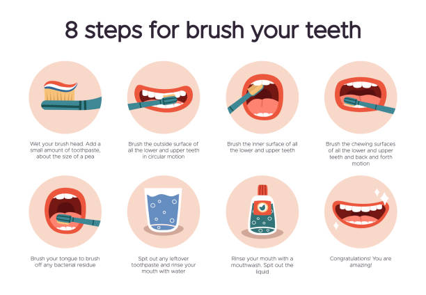 Dental hygiene infographic. Oral healthcare guide, tooth brushing for dental care. How to brush your teeth instruction isolated vector illustration Dental hygiene infographic. Oral healthcare guide, tooth brushing for dental care. How to brush your teeth instruction isolated vector illustration. Healthy teeth protection, dentistry routine school cleaning stock illustrations