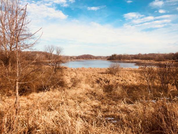 istock View of Bush Lake 1286700548