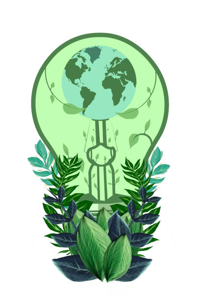 ilustraciones, imágenes clip art, dibujos animados e iconos de stock de concepto de energía verde. bombilla, hojas y planeta tierra - light bulb led evolution development