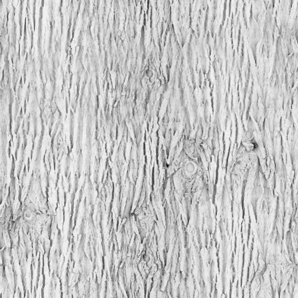 8K bark roughness texture, height map or specular for Imperfection map for 3d materials, Black and white texture