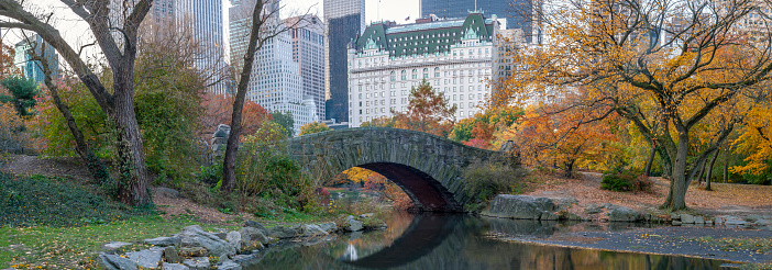 Gapstow Bridge in Central Park  early morning in autumn