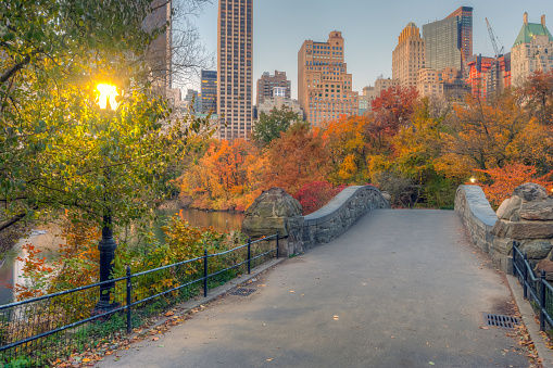 Gapstow Bridge in Central Park  early morning in autumn