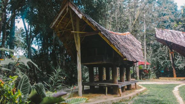 istock mamasa traditional house 1286704713