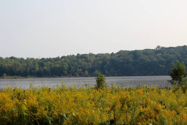 istock Lake over Tall Grass Field 1286708411