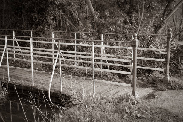 istock Iron pedestrian bridge in Cambridge 1286708916