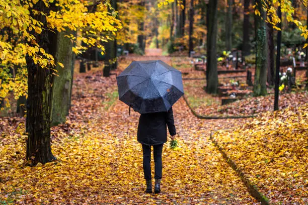 Woman in black with umbrella walking in cemetery at autumn rain.  Lonely mourner with flowers in graveyard