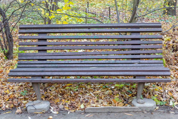 istock Comfortable wooden bench in the city park 1286710008