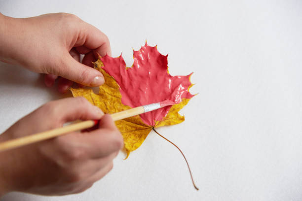 istock The woman's hands paint a maple leaf coral. 1286711523