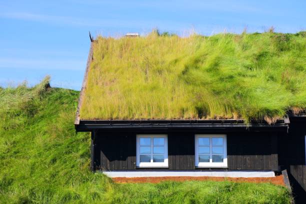 old wood log shed with thatch roof on historical country homestead