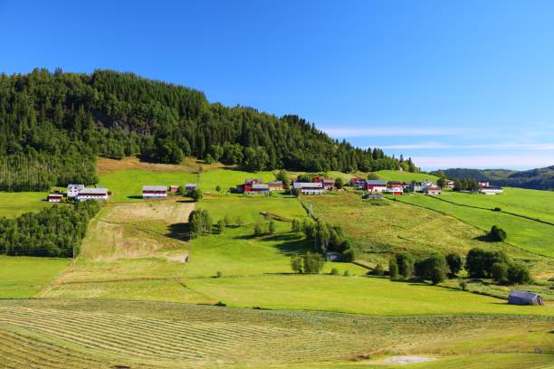 istock Farm lands in Norway 1286716669