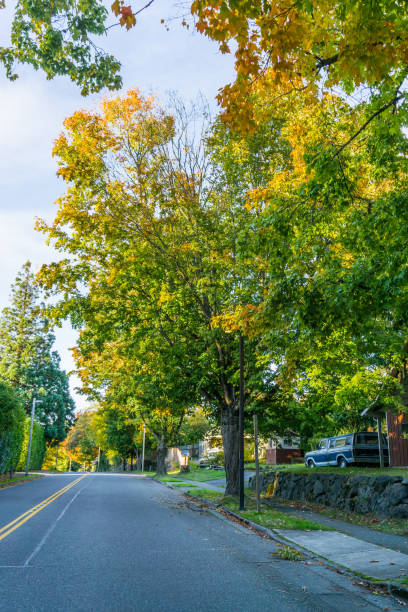 istock Burien Street In Autumn 2 1286719444