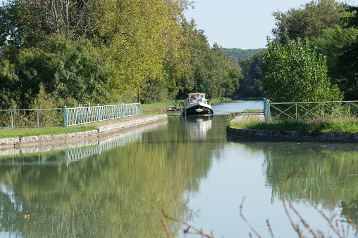 Trees along th Canal du Midi in France