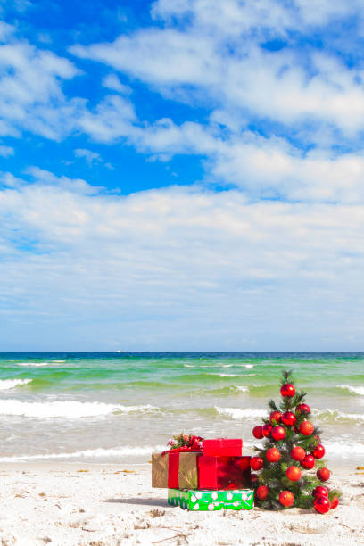 Christmas Tree decorated with Red Christmas Ornaments and Christmas Presents, in front of the Atlantic Ocean in a beautiful idyllic sunny summer day. Coastal Christmas, Beach Holidays, Christmas at the Beach.
A beautiful little Christmas Tree decorated with Red Christmas Ornaments and Christmas Presents, in front of the Atlantic Ocean in a beautiful idyllic sunny summer day, in Miami, Florida, USA. florida christmas stock pictures, royalty-free photos & images