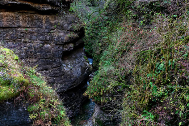 istock Autumn landscape with mountain stream flowing between mossy stones in deep gorge 1286725983