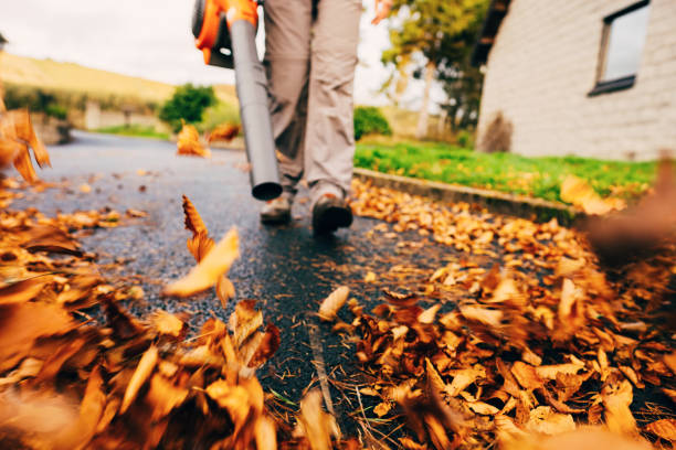 Leaf blower clearing driveway Woman using a leaf blower in the autumn to clear her driveway. rake stock pictures, royalty-free photos & images