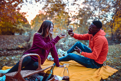 Multiethnic Couple Drinking Wine Together During Wine Picnic